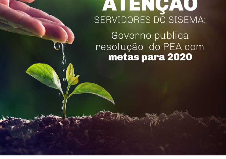 Governo publica resolução do PEA com metas para 2020