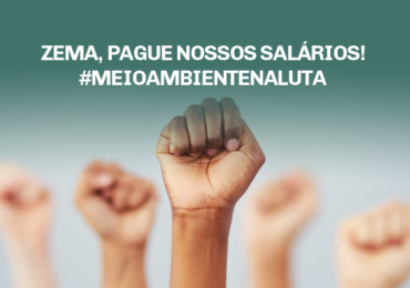 Zema, pague nossos salários! #meioambientenaluta