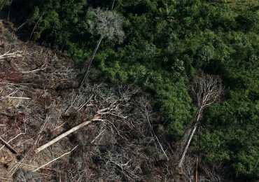 Amazônia bate novo recorde nos alertas de desmatamento em junho