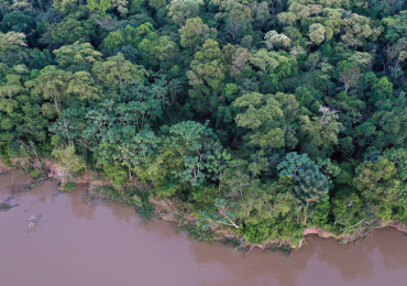 Cientistas afirmam: lei é insuficiente para proteger os rios do país
