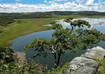 Parques estaduais só vão reabrir na Onda Verde do Minas Consciente