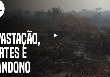PF já tem provas para indiciar fazendeiros de MS por queimadas no Pantanal