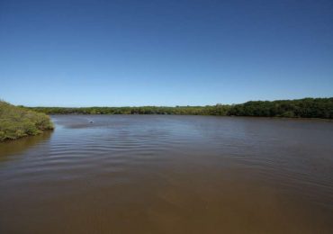 Parlamentares vão à Justiça para impedir votação que flexibiliza regra ambiental