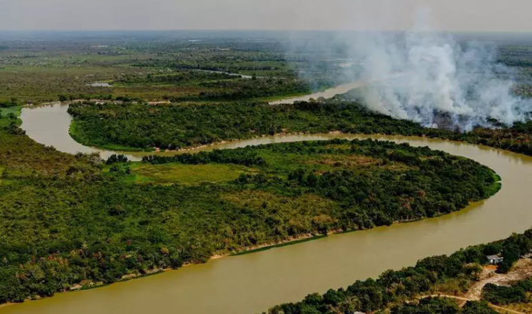 Queimadas no Pantanal ameaçam maior população de onças-pintadas do mundo