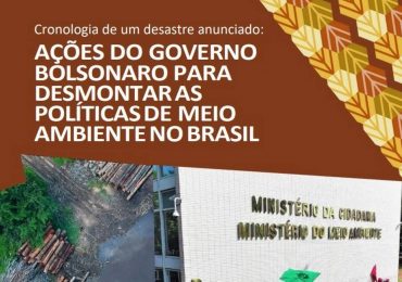 Dossiê de servidores contra política ambiental de Bolsonaro será enviado à ONU