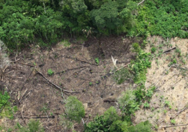 Novo estudo comprova a 'boiada' de Salles na área ambiental