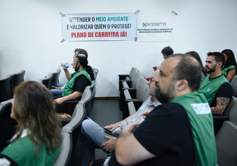 Governo segue sem cumprir decisão sobre plano de carreira do meio ambiente