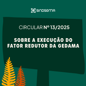 SOBRE A EXECUÇÃO DO FATOR REDUTOR DA GEDAMA